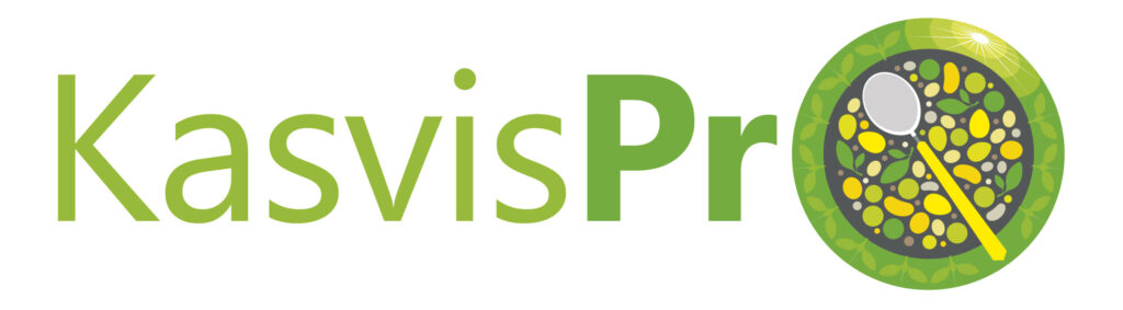 KasvisPro - Reseptit ammattikeittiöön JAMIX G6 -ohjelmassa.